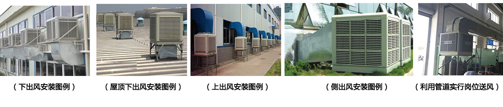 1459483202768504.jpg l2.jpg